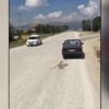 Köpeği otomobile bağlayarak sürükleyen kişi gözaltına alındı