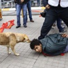 Sosyal medyada günün konusu: O köpek mi?