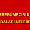 Ebegümecinin faydaları nelerdir? Ebegümeci çayı neye ...