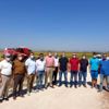 Biga da çeltik hasadı yapıldı
