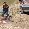 Başıboş köpeklerin saldırısına uğrayan yaşlı kadın hastanede hayatını kaybetti