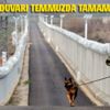 Güvenlik duvarı Temmuzda tamamlanacak Güvenlik duvarı Temmuzda tamamlanacak