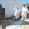 Denizli'de 4 mahallede 'şarbon' karantinası