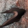 Mars'tan muhteşem görüntüler Mars'tan muhteşem görüntüler