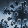 Muğla'da MERS virüsü şüphesi Muğla'da MERS virüsü şüphesi