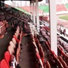Diyarbakır'da Galatasaray krizi Diyarbakır'da Galatasaray krizi