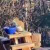 Vali Yerlikaya'dan öğretmenler günü mesajı Vali Yerlikaya'dan öğretmenler günü mesajı