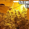 Evde uyuşturucu serası Evde uyuşturucu serası
