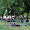 Macaristan'da İslamofobi giderek artıyor Macaristan'da İslamofobi giderek artıyor