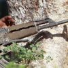 Somali'de terör örgütü Eş-Şebab'ın 18 üyesi etkisiz hale getirildi Somali'de terör örgütü Eş-Şebab'ın 18 üyesi etkisiz hale getirildi