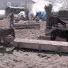 Yılkıya bırakılan ata sahip çıktı Yılkıya bırakılan ata sahip çıktı