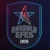 Anadolu Efes'ten Fenerbahçe'ye geçmiş olsun mesajı