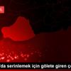 Şanlıurfa da serinlemek için gölete giren çocuk boğuldu Şanlıurfa da serinlemek için gölete giren çocuk boğuldu