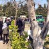 Nur Yerlitaş son yolculuğuna uğurlandı Nur Yerlitaş son yolculuğuna uğurlandı