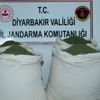 Öğrenci servisinde 176 kilogram esrar ele geçirildi Öğrenci servisinde 176 kilogram esrar ele geçirildi