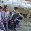 Uzaktan eğitime katılamayan yayladaki çocuklara öğretmenleri bilgisayar aldı Uzaktan eğitime katılamayan yayladaki çocuklara öğretmenleri bilgisayar aldı