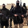 Danimarka DAEŞ'e karşı asker göndermeye hazırlanıyor