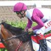 Call To Victory Triple Crown yarışında sakatlandı