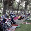 Deprem bölgesinde bayram namazı mesirelikte kılındı Deprem bölgesinde bayram namazı mesirelikte kılındı
