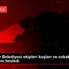 Çekmeköy Belediyesi ekipleri kuşları ve sokak hayvanlarını ... Çekmeköy Belediyesi ekipleri kuşları ve sokak hayvanlarını ...