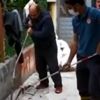 Bir mahallenin yılan seferberliği Bir mahallenin yılan seferberliği