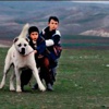 Sivas, 'Acı Vatan'ı büyüledi