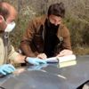 Sezon dışında avlananlara ceza Sezon dışında avlananlara ceza
