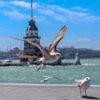 Sokaklarda 'koronavirüs' sessizliği Sokaklarda 'koronavirüs' sessizliği