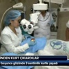 Fındık ihracatı Mayıs'ta arttı Fındık ihracatı Mayıs'ta arttı