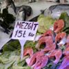 Karadeniz de hamsi azaldı, mezgit arttı Karadeniz de hamsi azaldı, mezgit arttı