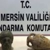 Hayvan hırsızları jandarmadan kaçamadı Hayvan hırsızları jandarmadan kaçamadı