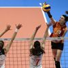 Galatasaray, CEV'e veda etti Galatasaray, CEV'e veda etti