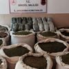 ﻿Bingöl'de uyuşturucu operasyonu