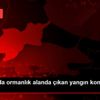 Tekirdağ da ormanlık alanda çıkan yangın kontrol altına ... Tekirdağ da ormanlık alanda çıkan yangın kontrol altına ...