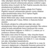 'Allah izni olmadığı için aday olamadığım kanaatindeyim'