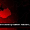 Aksaray da kurulan kooperatiflerle kadınlar iş sahibi ... Aksaray da kurulan kooperatiflerle kadınlar iş sahibi ...