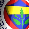 VİDEO F.Bahçe'de teknik direktör arayışı