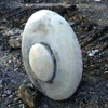 UFO taş 260 milyon yaşında