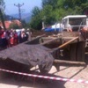 Traktörden düşen kadın öldü, oğlu yaralandı Traktörden düşen kadın öldü, oğlu yaralandı
