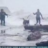 Dalgalardan son anda köpekleriyle kaçtlar