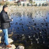 Mogan'da Aç Kalan Kuşlara Yem