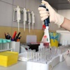 Tüm canlıların DNA’sı burada! Tüm canlıların DNA’sı burada!
