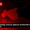 Ahırda başladığı solucan gübresi üretiminde taleplere ... Ahırda başladığı solucan gübresi üretiminde taleplere ...