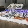 Koronavirüs balıkçıları vurdu Koronavirüs balıkçıları vurdu