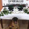 Akaryakıt istasyonuna 'uyuşturucu' operasyonu: 2 gözaltı Akaryakıt istasyonuna 'uyuşturucu' operasyonu: 2 gözaltı