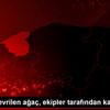 Irmağa devrilen ağaç, ekipler tarafından kaldırıldı