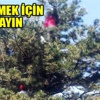 Ormanlık alanda ’ceset’ kurtarma operasyonu Ormanlık alanda ’ceset’ kurtarma operasyonu