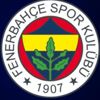 Fenerbahçe'de Harun Tekin şoku