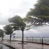 Son dakika... Meteoroloji'den 5 il için fırtına uyarısı! Son dakika... Meteoroloji'den 5 il için fırtına uyarısı!
