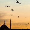 Allah'ın adaleti Allah'ın adaleti